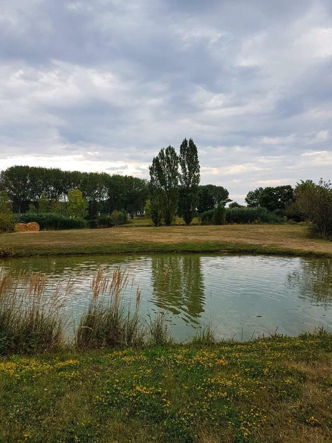 Eliza Birdland Golf Apartman Bük Dış mekan fotoğraf